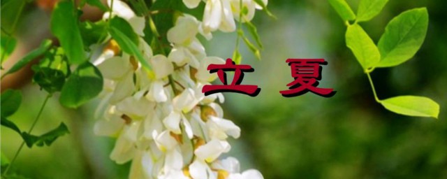 立夏节气文案 适合立夏节气朋友圈文案说说