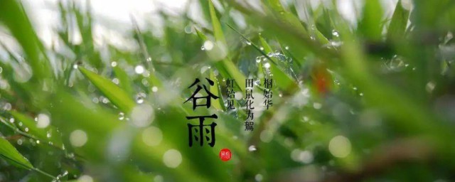 谷雨的拼音怎样写 谷雨节气简介