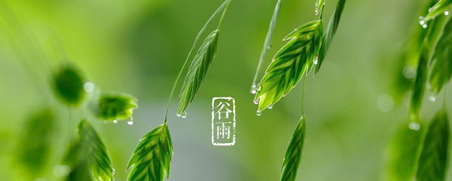 谷雨什么意思 谷雨是什么节气