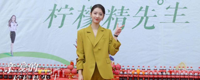 亲爱的柠檬精先生剧情简介 亲爱的柠檬精先生主要演员简介