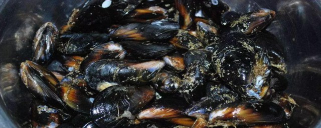 海虹怎样清洗 海虹清洗次序