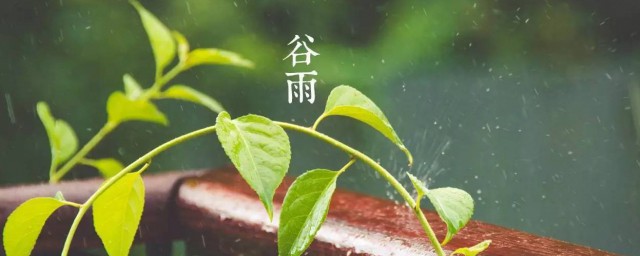 不到谷雨不能种瓜吗 谷雨适合种瓜吗