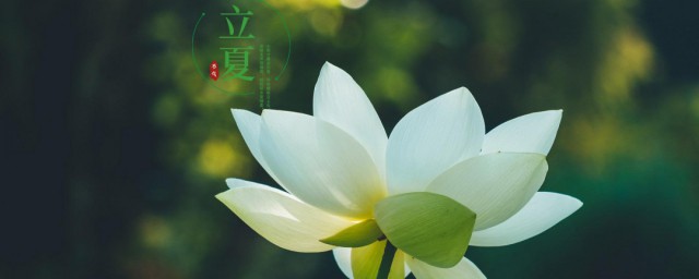 二十四节立夏的含义 二十四节立夏的含义期解释