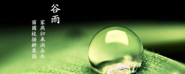 谷雨是几月几号 谷雨是多少月多少号