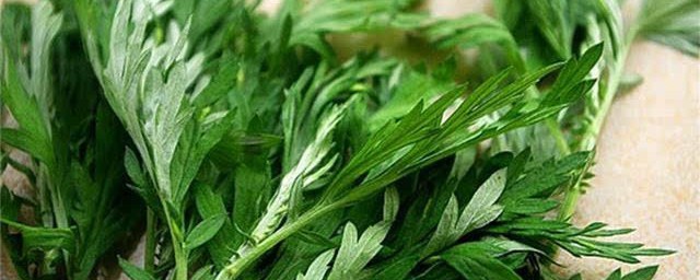 艾草叶煮水喝的功效 艾草叶煮水喝有什么作用