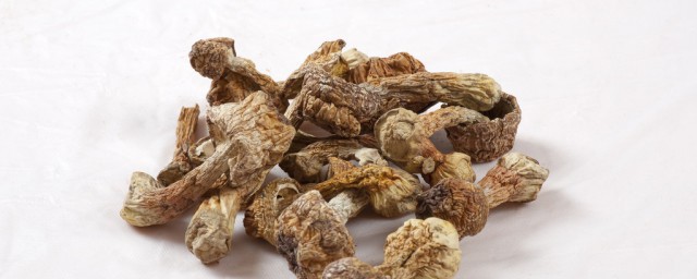 干松茸怎样吃最有营养 干松茸这样做更有营养