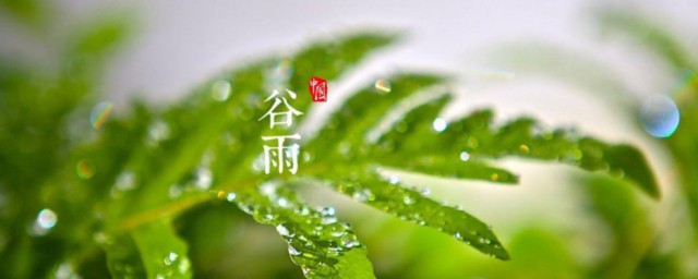 谷雨吃什么传统食物 谷雨传统食物有什么