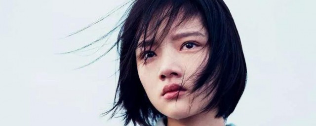任敏个人资料 关于任敏个人资料介绍