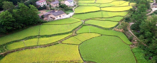 一公顷是多少亩地 什么是公顷