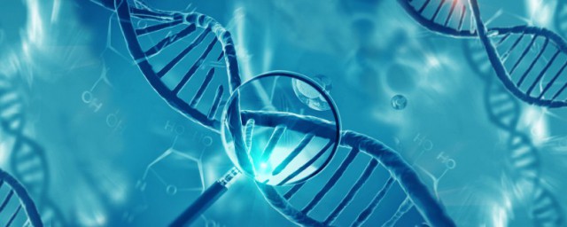 dna分子的结构是什么结构 DNA分子是由什么组成的