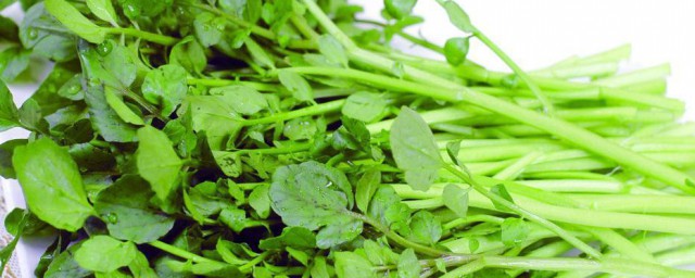 豆瓣菜的做法 怎样做豆瓣菜