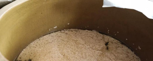 米酒的二次发酵怎样做 怎样做米酒的二次发酵
