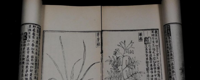 救荒本草是什么时期的著作 救荒本草介绍