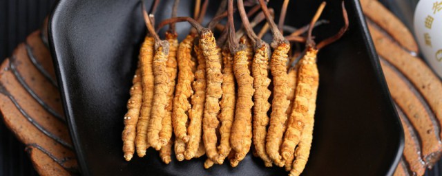 怎样存放虫草 冬虫夏草保存技巧分享