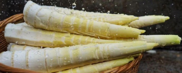 春笋骨头煲怎样做 怎样制作春笋骨头煲