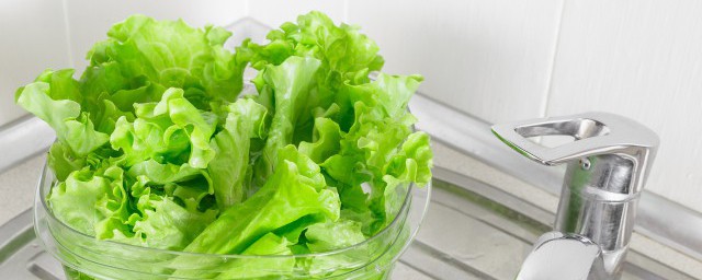 圆生菜和生菜区别 圆生菜和生菜有什么区别