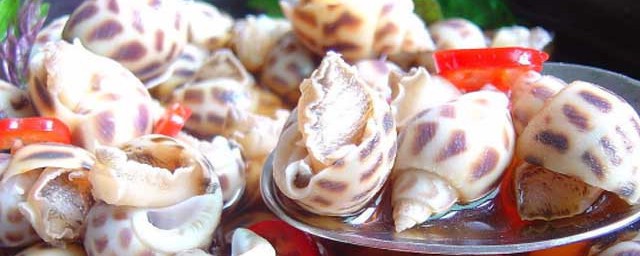 清蒸花螺的做法 清蒸花螺的烹饪要领