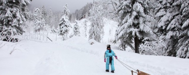 祁连五月满雪花什么意思 祁连五月满雪花的解释