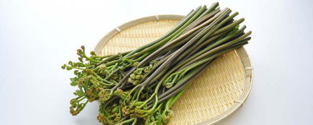 四川泡蕨菜的制作技巧 四川泡蕨菜做法