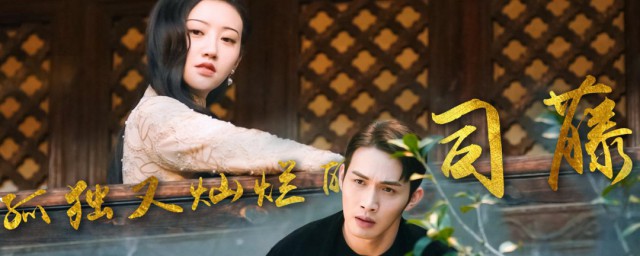 司藤具体讲的什么 司藤改编自哪本小说