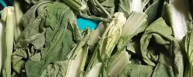 荠菜晒干怎样做腌菜 荠菜晒干做腌菜的技巧