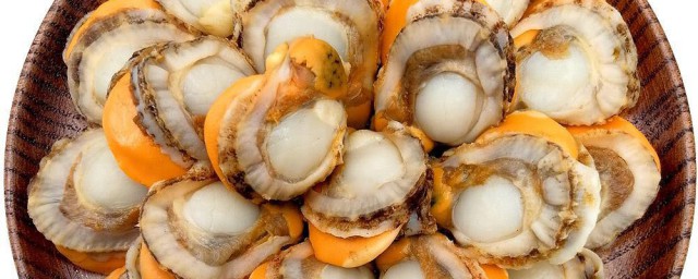 冻扇贝肉的清理技巧 冻扇贝肉怎样清理