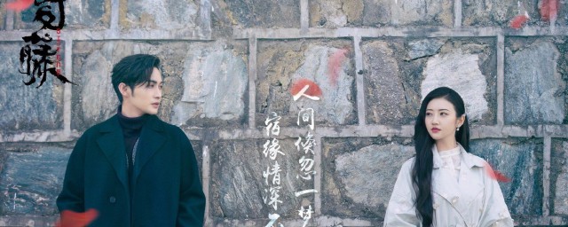 司藤开小白花意味着什么 司藤开小白花有什么道理