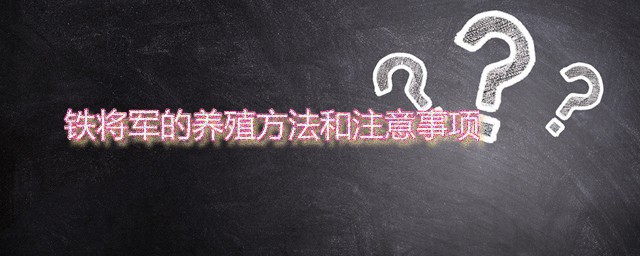 铁将军的养殖技巧和注意事项 铁将军兰花的家庭种植技巧分享