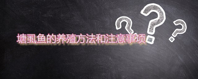 塘虱鱼的养殖方式和注意事项 塘虱鱼家庭放养方式分享