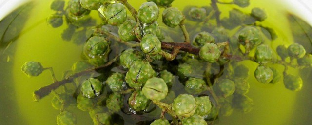 藤椒油和花椒油的区别 如何区别藤椒油和花椒油