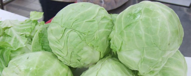 酸辣包心菜做法秘诀 如何做酸辣包心菜