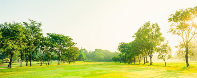 关于农村田园风景的好词好句 关于农村田园风景的好词好句精选