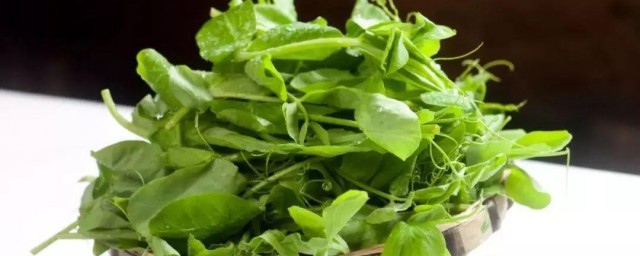 青碗豆尖怎样做好吃 豌豆尖的做法