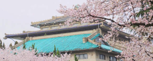 2023最新武汉大学旅游攻略 2023年武汉大学旅游攻略