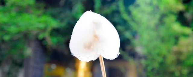 怎样做菠菜味钵仔糕 菠菜钵仔糕做法