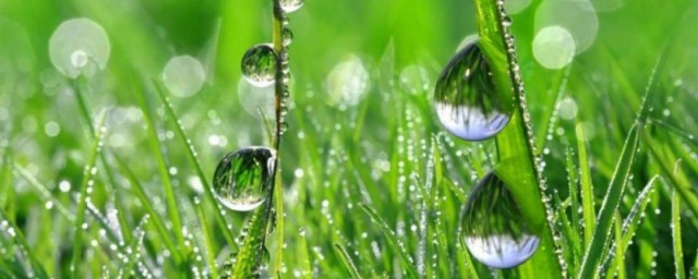 雨水井三个标高什么意思 雨水井三个标高解释