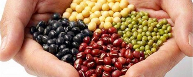 女性肾气虚多吃8种补肾气食物 女性肾气虚多吃什么食物