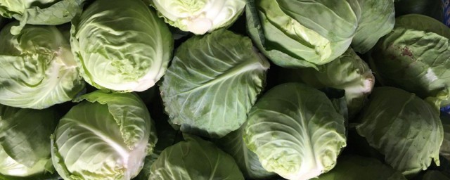 包菜保鲜储存技巧 包菜怎样保鲜储存