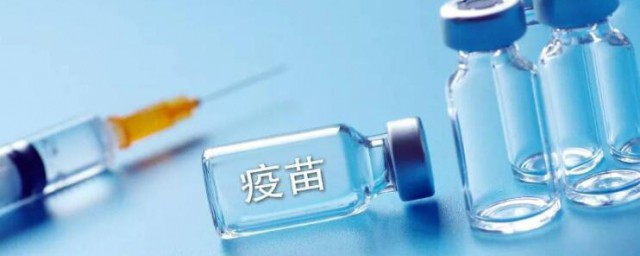 被老鼠咬了打什么疫苗 被老鼠咬了打哪种疫苗