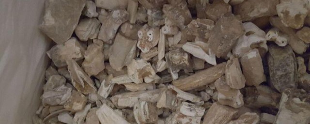煅龙齿的功效与作用 煅龙齿的功效与作用有哪些