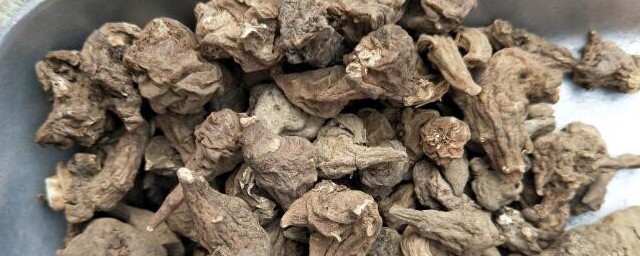 川乌的功效与作用及禁忌 川乌有何功效与作用及禁忌