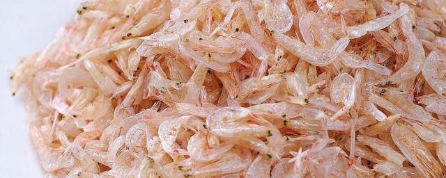 海米油菜心的做法 制作海米油菜心的技巧