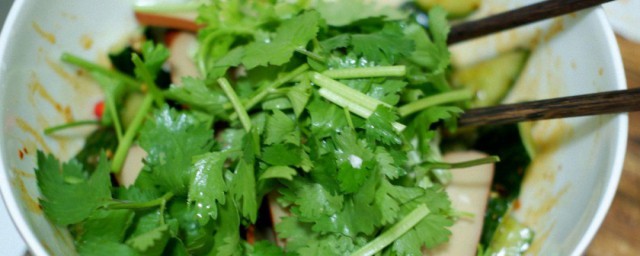 荆芥拌凉粉做法次序 荆芥拌凉粉需要哪些材料