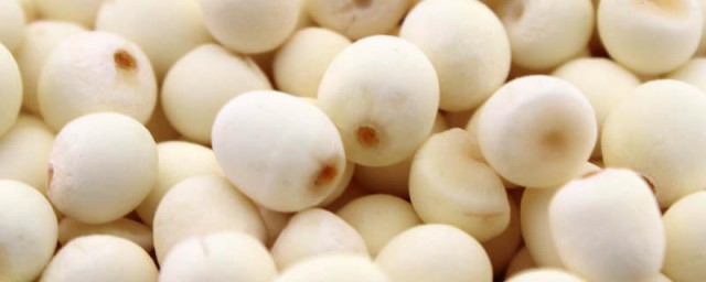 新鲜芡实怎样存放 保存新鲜芡实的妙招
