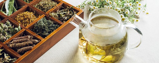 槐花泡水喝的功效及忌讳 槐花泡水喝的功效有哪些