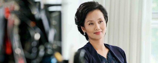 一起去看流星雨慕容云海的妈妈演员 一起去看流星雨电视剧简介