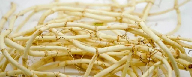 鱼腥草副作用与禁忌 鱼腥草可以长期食用吗