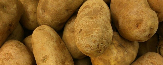 怎样存放土豆不发芽 保存番薯不坏的土技巧分享