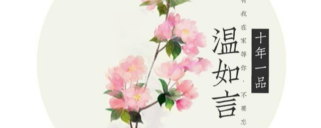 十年一品温如言大概讲了啥 故事简介是什么