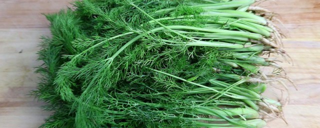 小茴香怎样做凉拌好吃 凉拌小茴香需要怎样准备